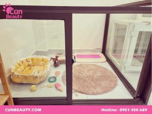 Khách sạn thú cưng Quận 12